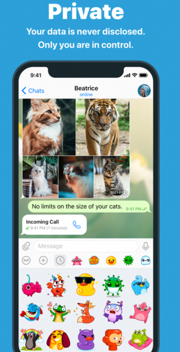 Nicegram_1.1.1_1663037727-夸克云盘下载
