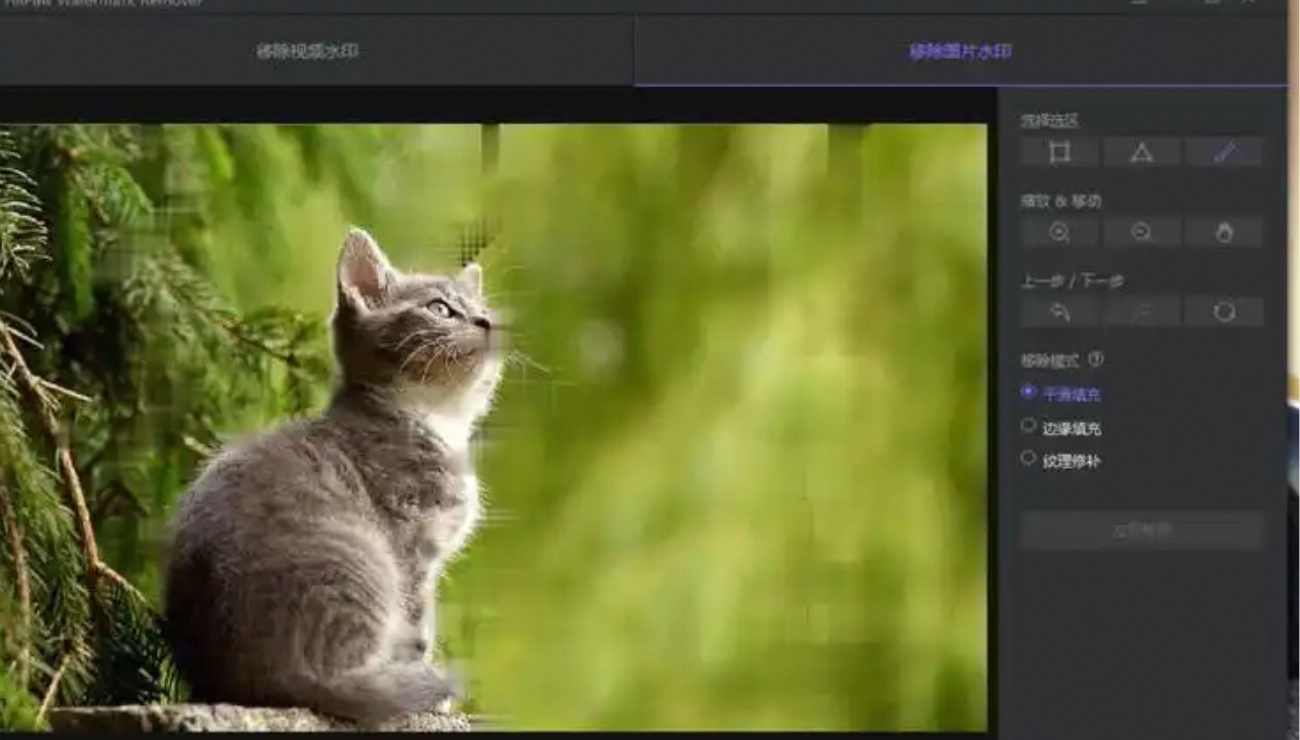 HitPaw_Watermark_Remover_1.3.5-百度云盘下载