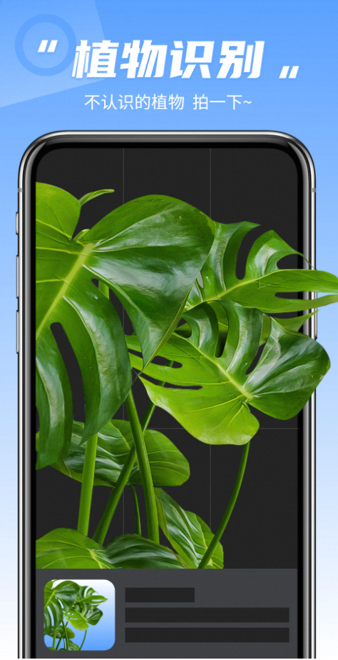 拍照识别植物-夸克云盘下载