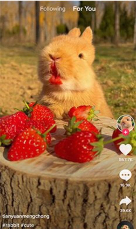 TikTok_29.7.0_1686204952-夸克云盘下载