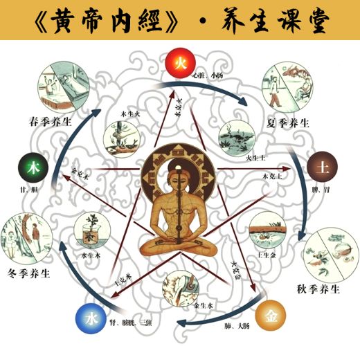 黄帝内经养生大道-百度云盘下载