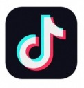 TikTok_29.7.0_1686204952-夸克云盘下载