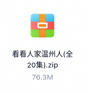 看看人家温州人(全20集).zip-百度云盘下载