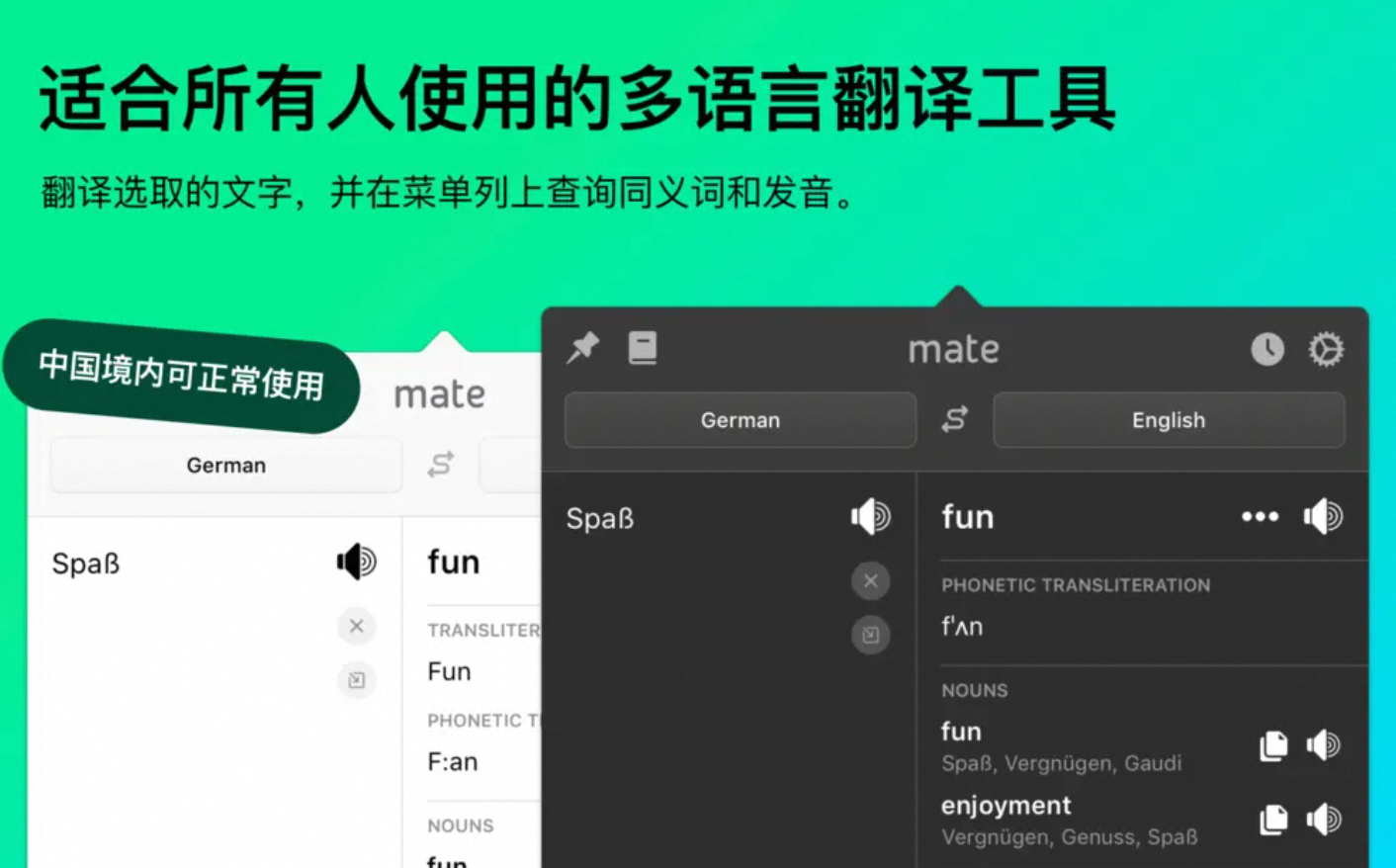 Mate Translate_8.1.1-百度云盘下载