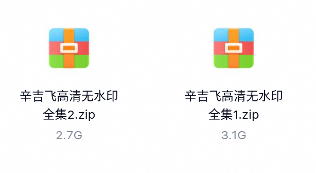 辛吉飞高清视频合集-百度云盘下载