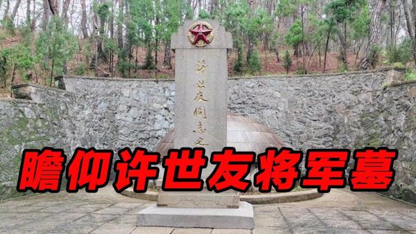 单田芳_少林将军许世友-夸克云盘下载