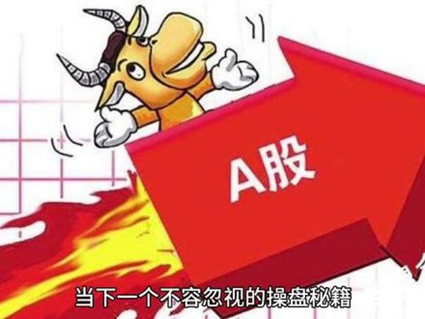 牛散秘籍（完结）-百度云盘下载