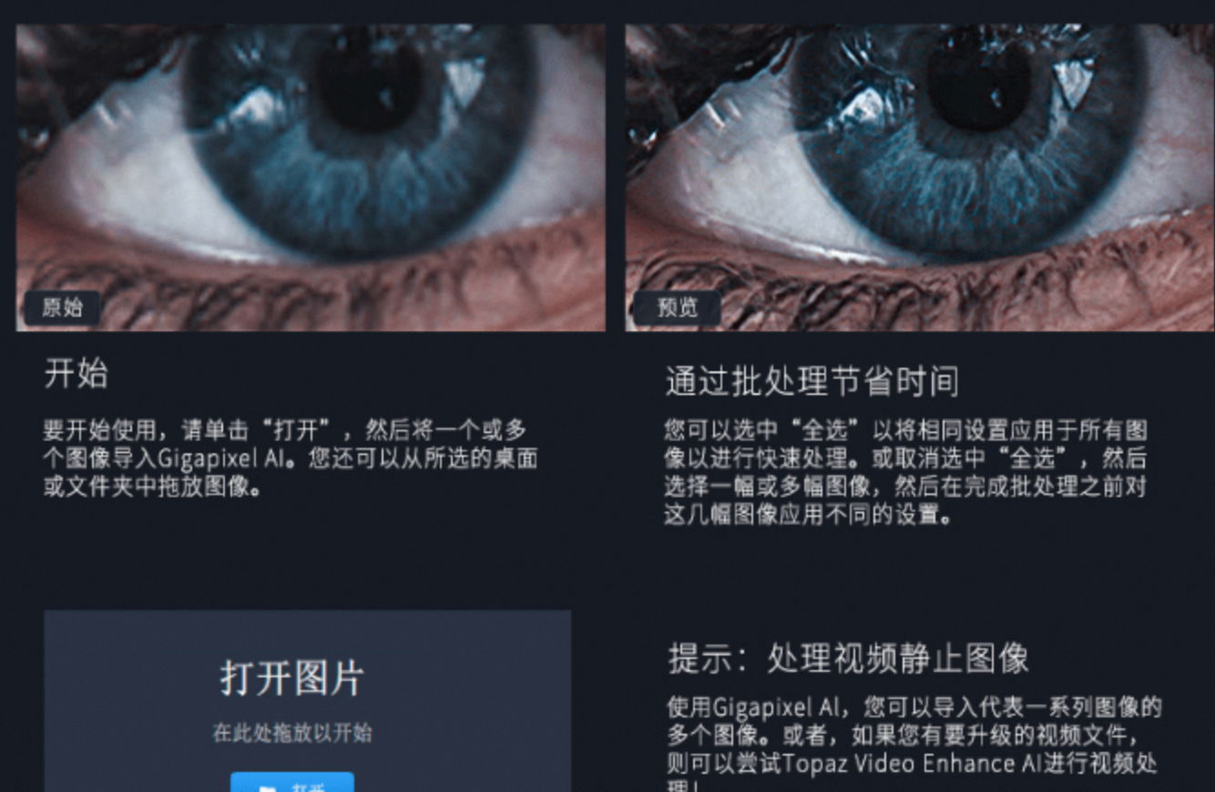 Topaz Gigapixel AI 5.1.6 (x64)汉化版无弹窗-百度云盘下载