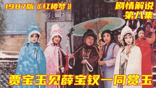 87版红楼梦电视剧-阿里云盘下载