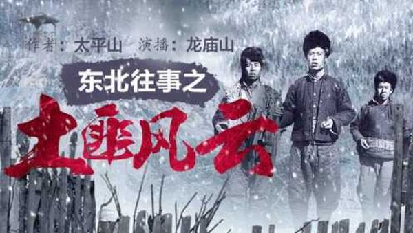 大东北剿匪记(30回)(播音-王传林)-百度云盘下载