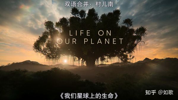 我们星球上的生命-电子书-百度云盘下载