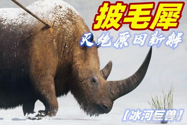 BBC纪录片_冰河巨兽-夸克云盘下载
