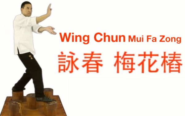 凯叔合集_咏春启蒙课【完结】-夸克云盘下载