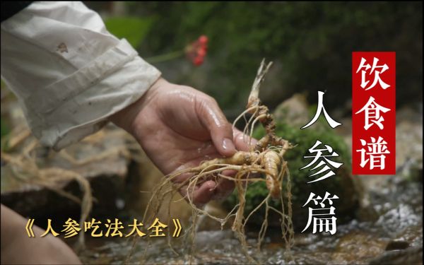 《人参》1080P 4M码率 MP4 超清-夸克云盘下载