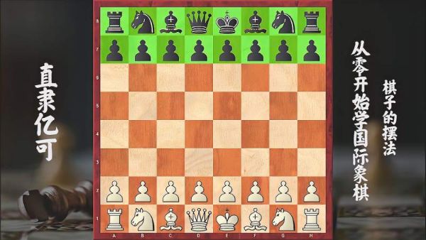 凯叔合集_零基础学国际象棋【完结】-夸克云盘下载
