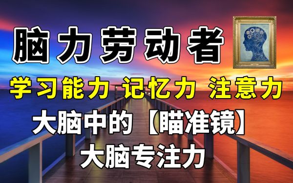 新版跟脑科学家专注力【完结】-夸克云盘下载