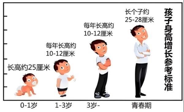 凯叔合集_3-6岁长高课【完结】-夸克云盘下载
